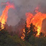 Stagione degli incendi