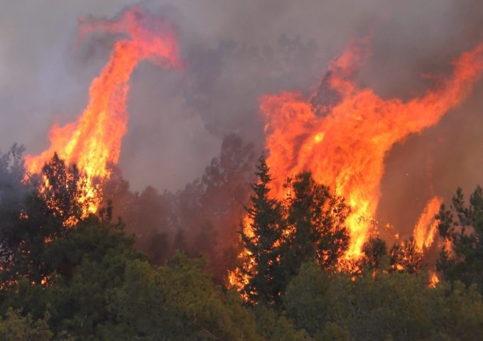 Stagione degli incendi