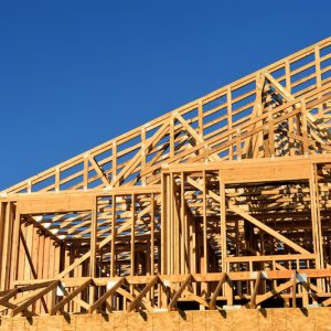 protezione dal fuoco delle strutture in legno