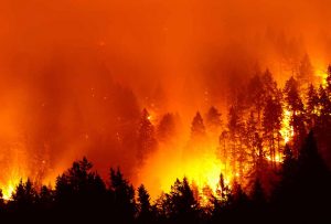 Incendi boschivi raccomandazioni 2019