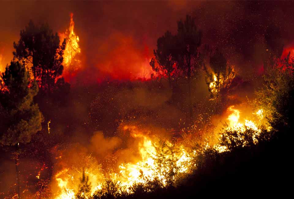 Incendi boschivi raccomandazioni 2019