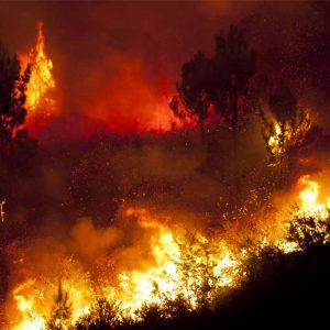 Incendi boschivi raccomandazioni 2019