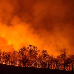 incendi artico
