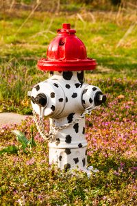 Dalmata cane pompiere