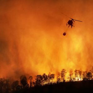 In California tengono un registro dei piromani