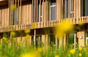 Dettaglio di un edificio in legno di architettura contemporanea immerso nel verde, con fiori gialli ed erba che appaiono in primissimo piano fuori fuoco