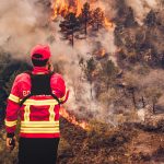 Il grande incendio del 2017 in Portogallo: un Vigile del Fuoco al lavoro