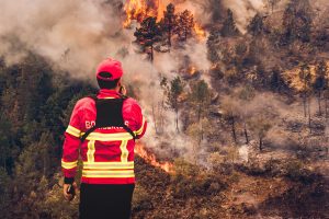 Il grande incendio del 2017 in Portogallo: un Vigile del Fuoco al lavoro