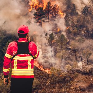 Il grande incendio del 2017 in Portogallo: un Vigile del Fuoco al lavoro