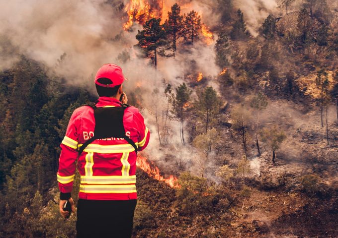 Il grande incendio del 2017 in Portogallo: un Vigile del Fuoco al lavoro