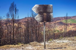 Il grande incendio del 2017 in Portogallo