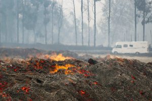 Il grande incendio del 2017 in Portogallo