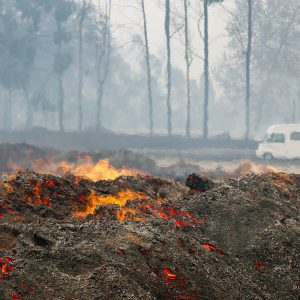 Il grande incendio del 2017 in Portogallo