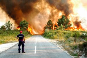 Il grande incendio del 2017 in Portogallo