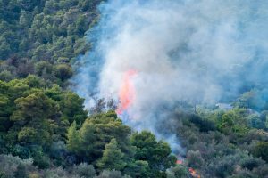 Un incendio in Grecia