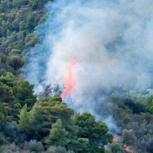 Un incendio in Grecia