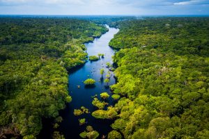 La foresta amazzonica