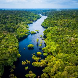 La foresta amazzonica