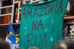 Proteste contro la distruzione e gli incendi in Amazzonia