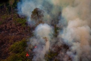 Gli incendi in Amazzonia