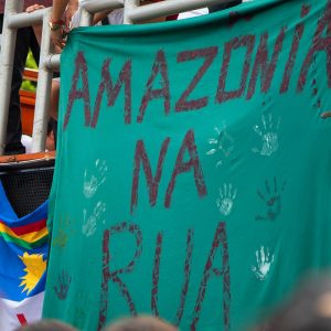 Proteste contro la distruzione e gli incendi in Amazzonia