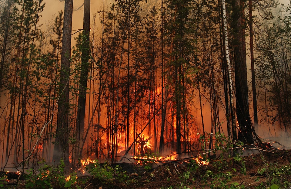 Le cause degli incendi in Siberia