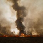 Gli incendi in Siberia del 2019