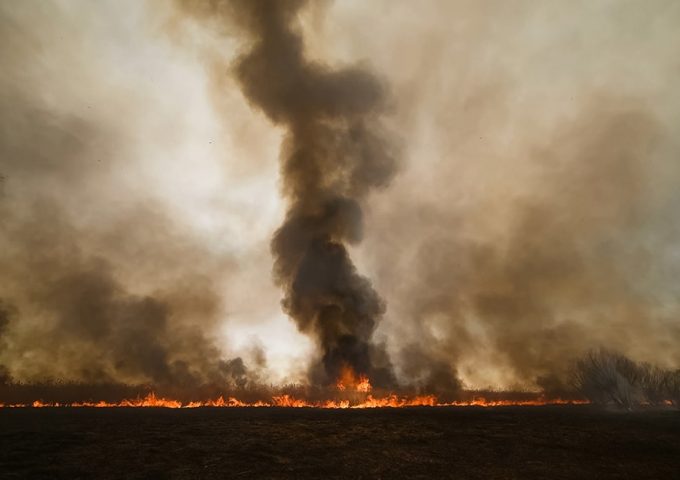 Gli incendi in Siberia del 2019