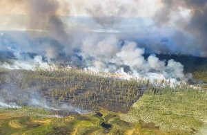 Errori e ritardi per gli incendi in Siberia del 2019
