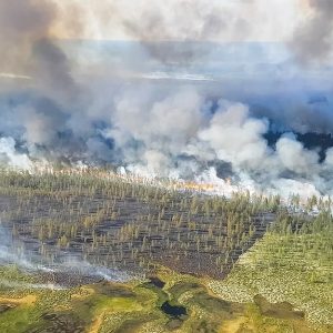 Errori e ritardi per gli incendi in Siberia del 2019