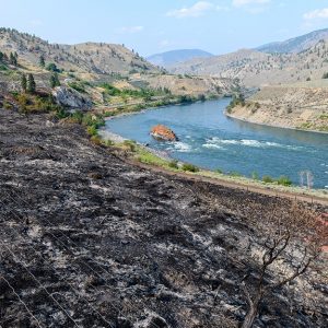 Gli incendi dopo il caldo record in Canada