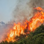 Come comportarsi in caso di incendio boschivo