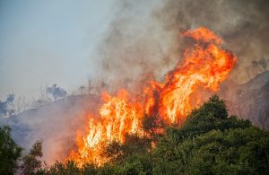 Come comportarsi in caso di incendio boschivo