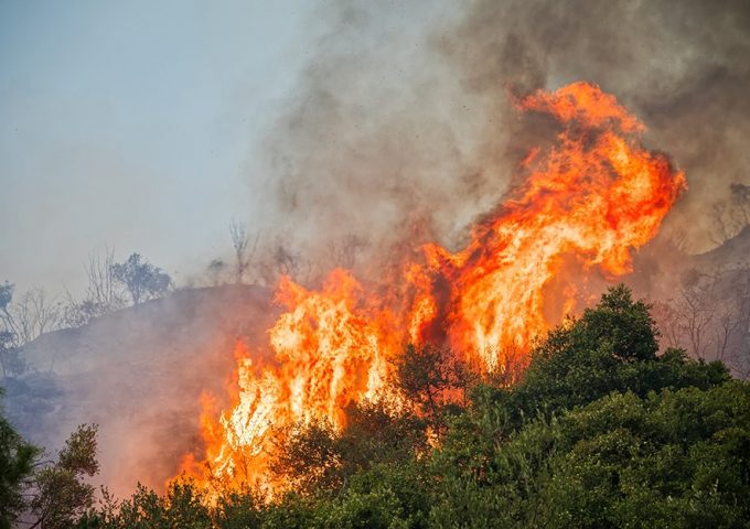 Come comportarsi in caso di incendio boschivo