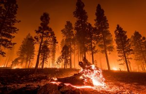 Cosa fare se si è a piedi in prossimità di un incendio boschivo