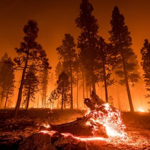 Cosa fare se si è a piedi in prossimità di un incendio boschivo