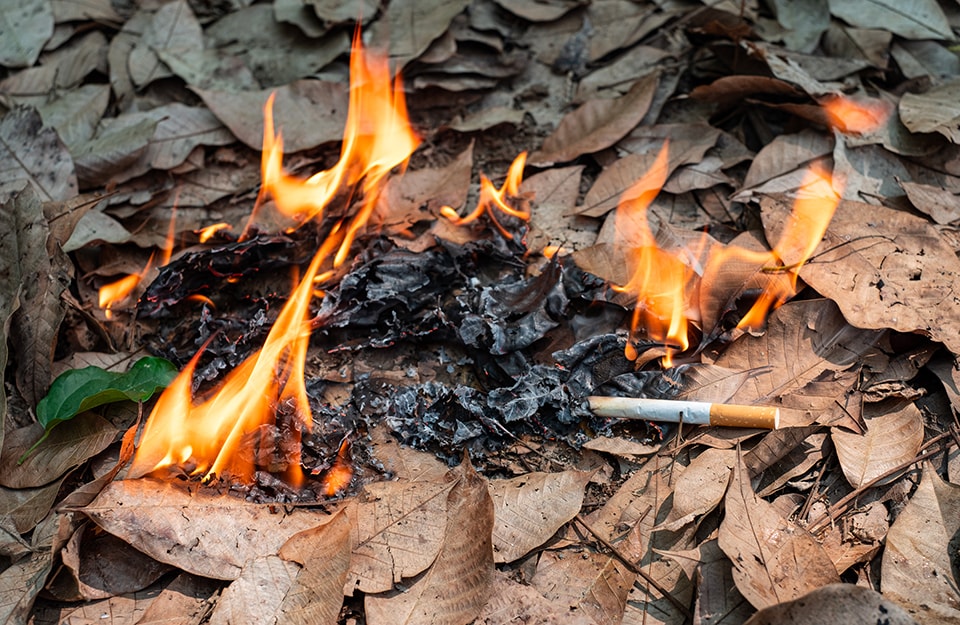 Cosa fare per evitare di causare un incendio boschivo