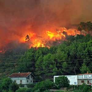 Incendio boschivo nei pressi di alcune abitazioni