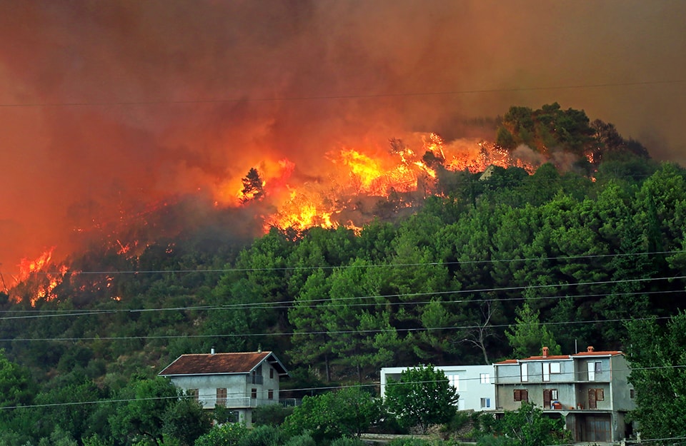 Incendio boschivo nei pressi di alcune abitazioni