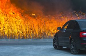 Cosa fare se si è in auto in prossimità di un incendio boschivo