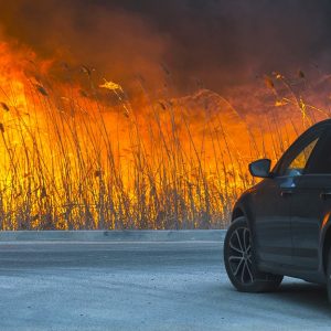 Cosa fare se si è in auto in prossimità di un incendio boschivo