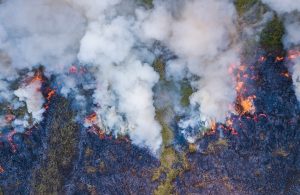 Gli incendi dell'Indonesia nel 2019