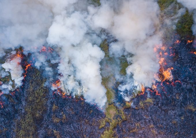Gli incendi dell'Indonesia nel 2019