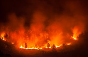 Gli incendi dell'Indonesia nel 2019