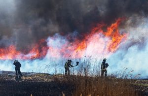 Pompieri in azione durante un incendio boschivo come quello della Sardegna