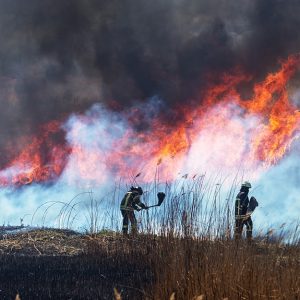 Pompieri in azione durante un incendio boschivo come quello della Sardegna
