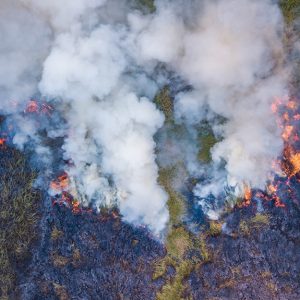 Gli incendi dell'Indonesia nel 2019