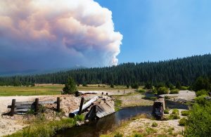 Il fumo levatosi dal grande incendio Dixie Fire, in California, visto da lontano