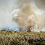 Panorama della Savana africana con un incendio visibile in lontananza