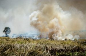 Panorama della Savana africana con un incendio visibile in lontananza